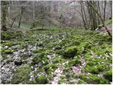 Source of Ljubljanica (Retovje)